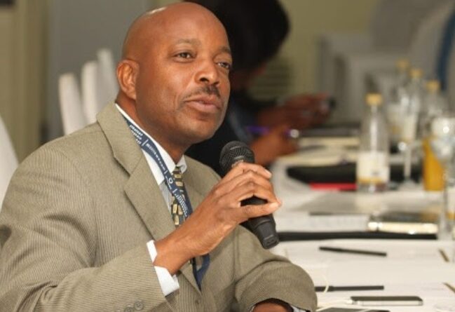 Mr President Sir, I Say, NO Red Carpet for Diasporians, True Zimbabweans Come First